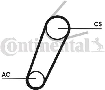 V-ribbed Belt Set 5PK711ELASTT1