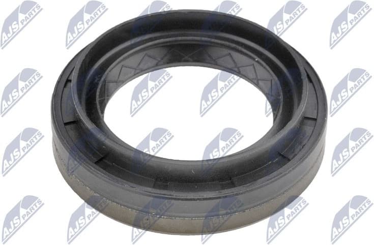 Shaft Seal, differential NUP-PL-001