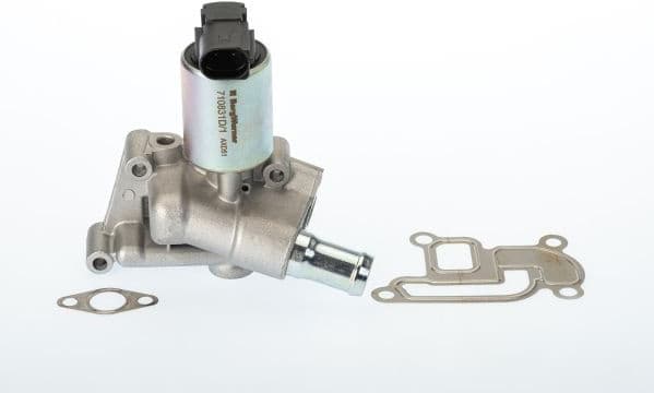 710831D/1 (BorgWarner (Wahler))