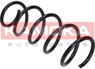 Suspension Spring 2110334