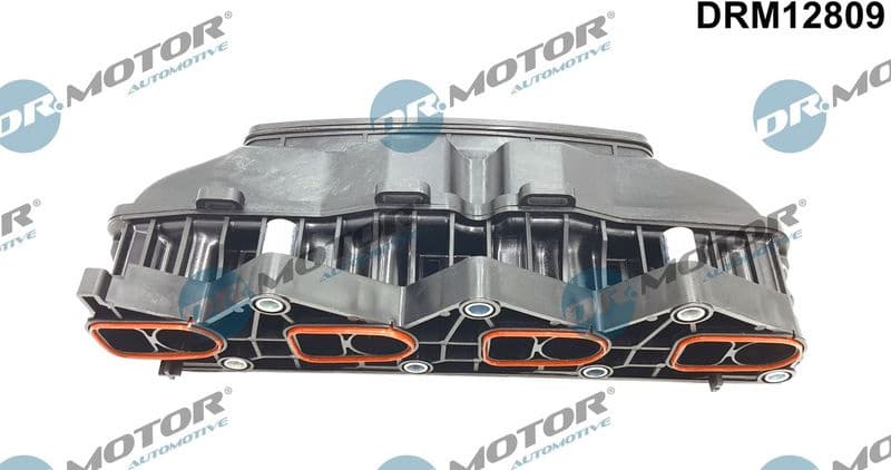 DRM12809