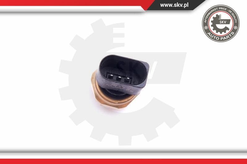 Sensor, fuel pressure 17SKV624