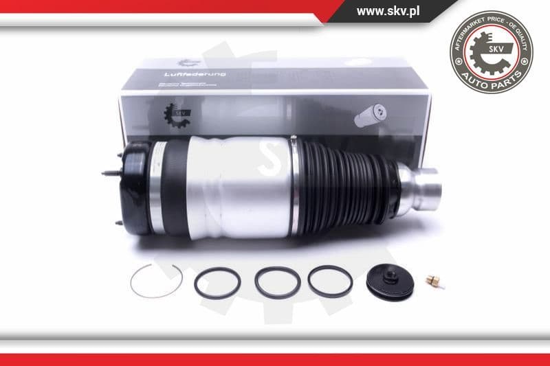 Air Suspension Strut 58SKV060