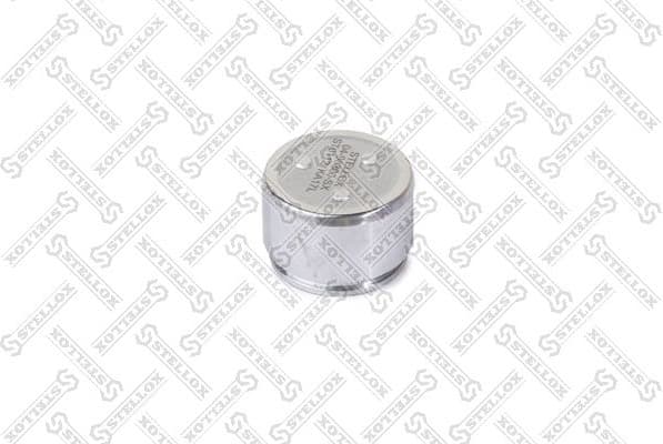 Piston, brake caliper 04-98300-SX