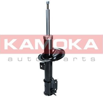 Shock Absorber 2000553