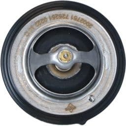 Thermostat, coolant EASY FIT 725251 - image 2