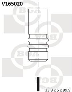 Intake Valve V165020