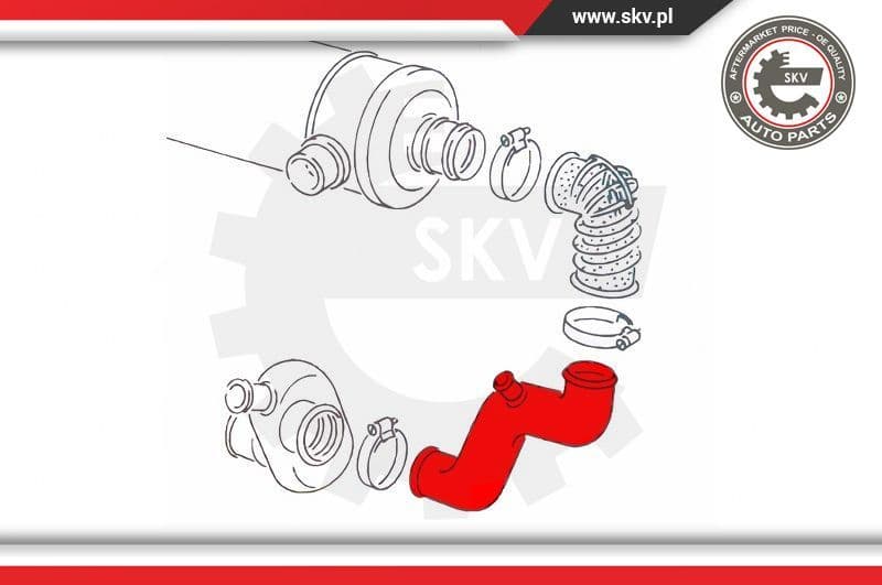 Radiator Hose 43SKV858