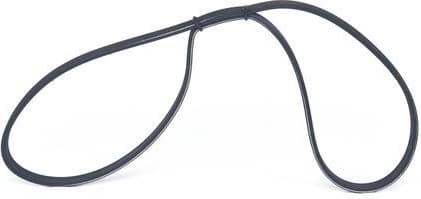 V-ribbed Belt 1 987 947 571