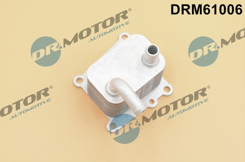 Oil Cooler, engine oil DRM61006