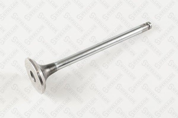 Exhaust Valve 01-24381-SX
