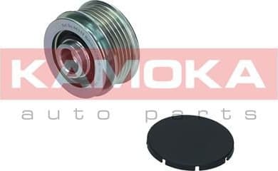 Alternator Freewheel Clutch RC115 - image 6