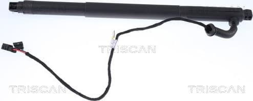 Gas Spring, boot/cargo area 8710 11301