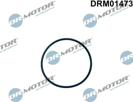 Gasket, fuel pump DRM01473