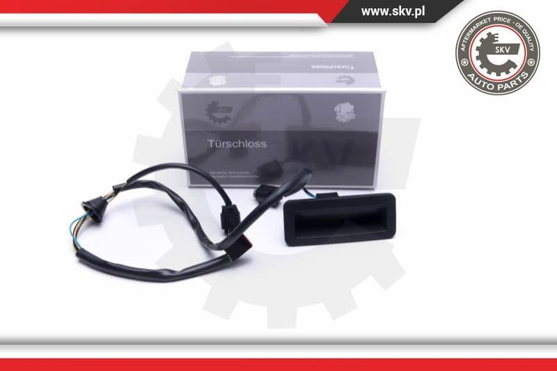 Exterior Door Handle 16SKV267