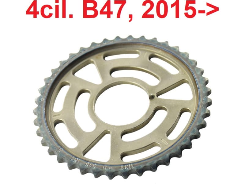 Camshaft gear sprocket 11318518181