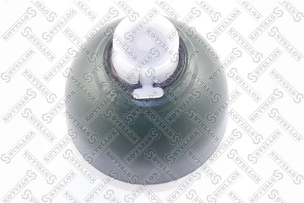 Pressure Accumulator, pneumatic suspension 70-00083-SX