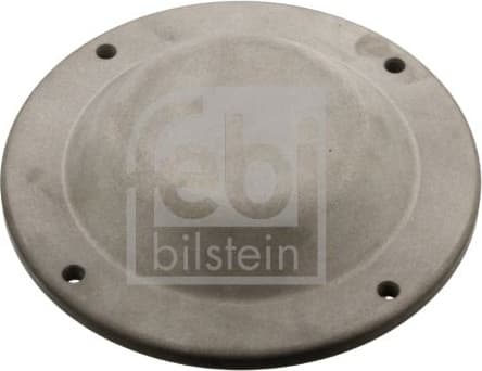 Protection Lid, wheel hub 35169