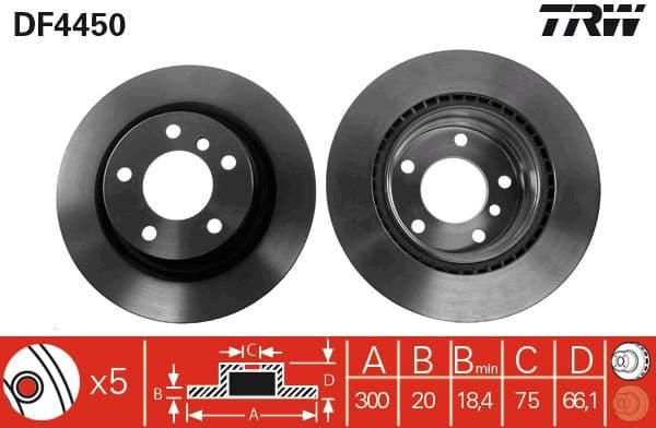 Brake discs kit rear, (2pcs), Top Quality DF4450