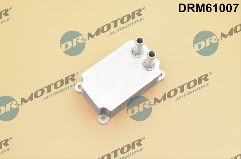 Oil Cooler, engine oil DRM61007