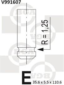 Intake Valve V991607