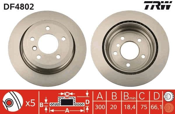 Brake discs kit rear, (2pcs), Top Quality DF4802 - image 2