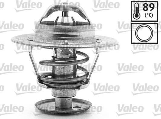 Thermostat, coolant 820074