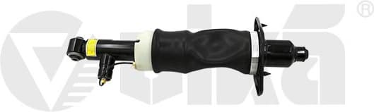 Air Suspension Strut 66160001201