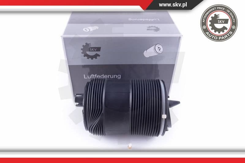 Air Spring, suspension 58SKV033