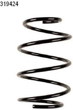 Suspension Spring 14319424