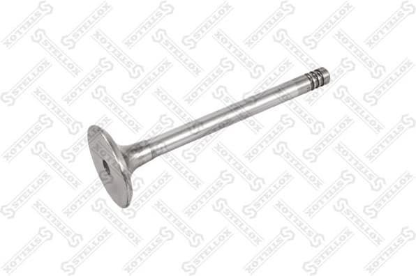 Intake Valve 01-23017-SX