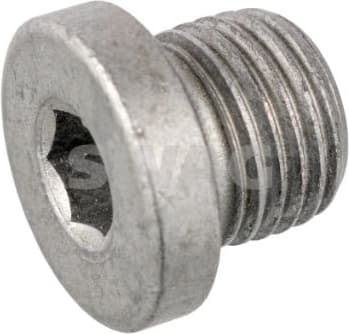 Screw Plug 10946267