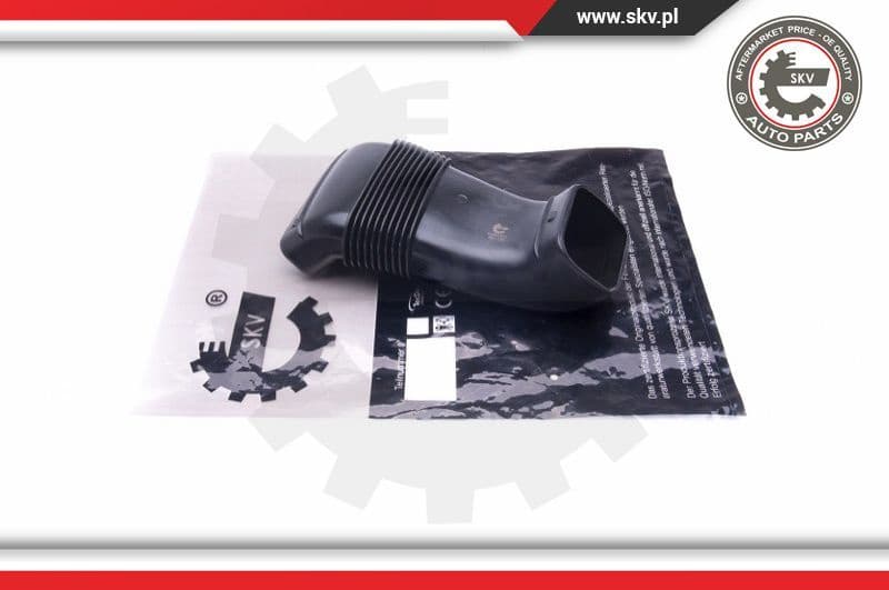 Intake Hose, air filter 43SKV925