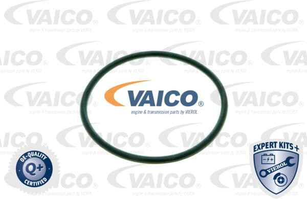 Hydraulic Filter, automatic transmission EXPERT KITS + V10-0440-1 - image 2