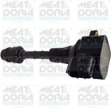 Ignition Coil 10723