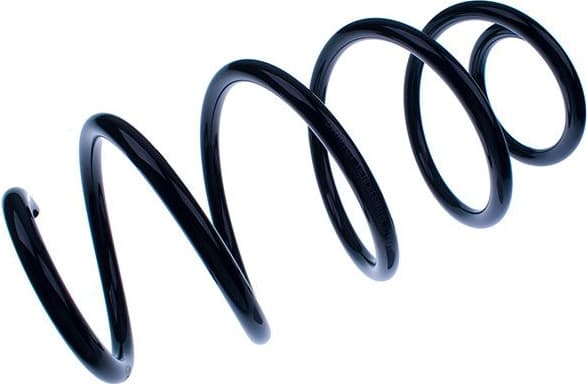 Suspension Spring D700101