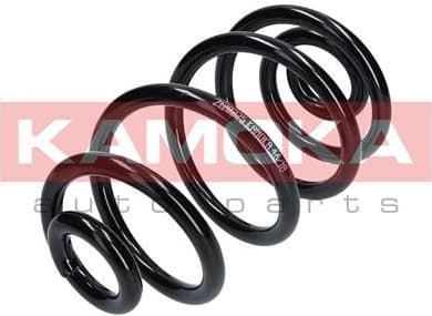 Suspension Spring 2120225 - image 3