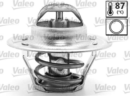 Thermostat, coolant 820171