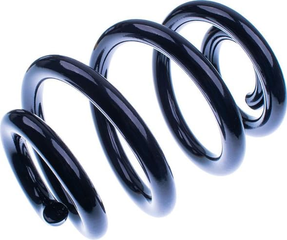 Suspension Spring D700191