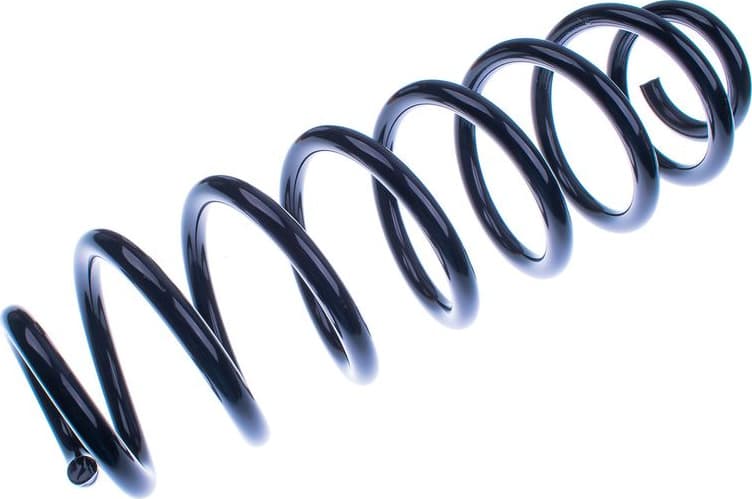Suspension Spring D700309
