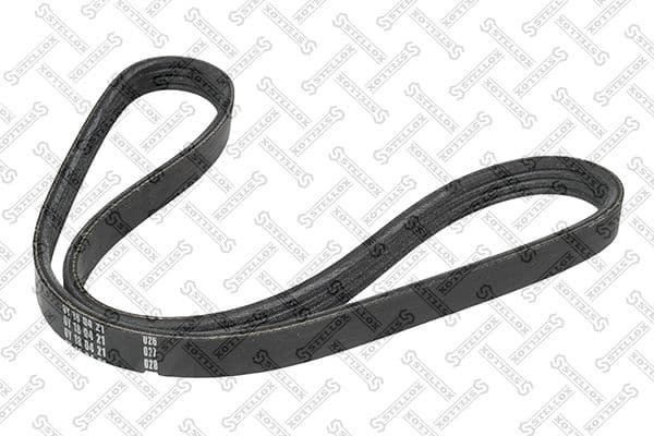 V-ribbed Belt 04-00867-SX
