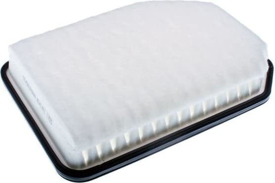 Air Filter A141481
