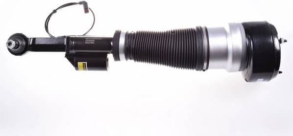 Air Suspension Strut DSA020G