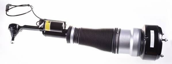Air Suspension Strut DSA021G