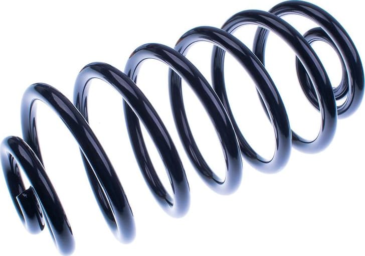 Suspension Spring D700041