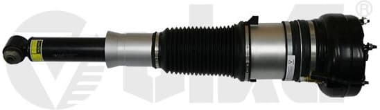 Air Suspension Strut 56160000601