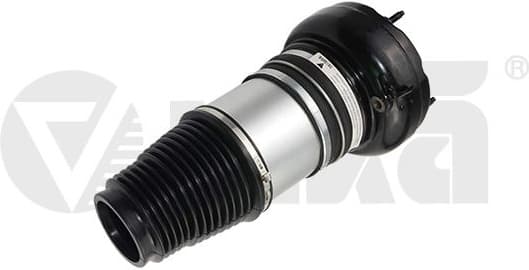 Air Suspension Strut 66160002101