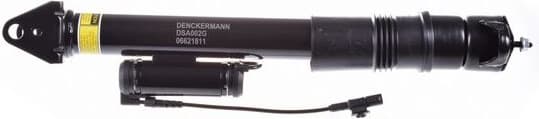Air Suspension Strut DSA002G