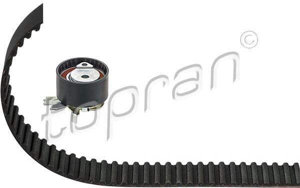 Timing Belt Kit 700 785