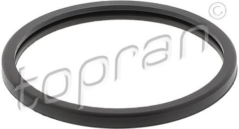 Seal, thermostat 722 053